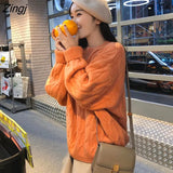 Women Popular Thick Solid 2020 New Fashion Fall Warm Loose Lady Clothes Kawaii Female Aesthetic Blue Casual