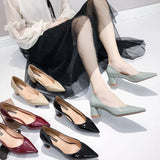 Zingj High Heels, Single Shoes, Korean Version Women's Shoes, Nude Pointed Heels, Thick Heels, Spring And Autumn Shoes, Lacquered Leather Work