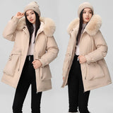 Send To Overcome The New Female Winter Korean Version Of The Waist Show Thin Hooded Big Hair Collar And Wool And Thick Short Jacket Cotton-Padded Jacket-Outfit