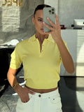 Collar Single-Dcupine Dopamine Knitted Girl Polo Shirt Small Group Of Women's Style Women's