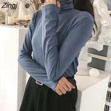 Womens Turtleneck Solid Colorful Long Sleeve Thickening All-match Harajuku Soft Simple Femme All-match Cozy