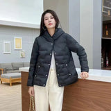 Autumn And Winter New Fashion Pressure Glue In The Thin Down Jacket Female Hood Short Fashion Warm Winter Dress Coat Tide-Outfit