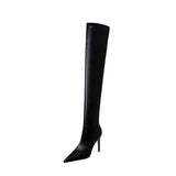 Zingj Fashion Simple Thin Heel High Heel Pointed Winter Sexy Nightclub Show Slender Over The Knee