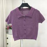 Sweater Women's 2024 Summer Korean Version Of Single-Breasted Polo Collar Knitted T-Shirt Short Style Short-Sleeved