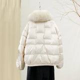 Chinese Style Fashion Retro Plate Buckle Mink Door Skirt Down Jacket Women's Short Style Warm Big Fur Collar Coat Tide-Outfit