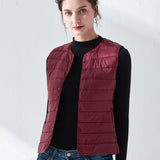 Hot Style Autumn Winter New Down Vest Female Thin And Short Money Without Collar Vest Fashion Portable Coat Slim Tide-Outfit