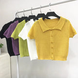 Sweater Women's 2024 Summer Korean Version Of Single-Breasted Polo Collar Knitted T-Shirt Short Style Short-Sleeved