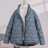 Mink Wool Down Jacket Female 2024 Winter Fashion New Chinese Style Design Feeling Pressure Glue Foreign Style Small White Duck Down Coat-Outfit