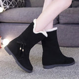 Celebrity Snow Boots 2024 Autumn And Winter New Korean Version Of Short Boots Plush Thickened Warm Cotton Boots