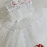 Baby Baptism Dresses 3 2 1 Year Birthday Dress For Baby Girl Clothing Princess Party Dress Christening Tutu Gown