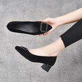 Zingj High Heels Women's 2024 Spring New Square Buckle Shallow Mouth Single Shoes Two Kinds Of High Love Shoes