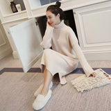 Autumn Winter Women Knitted Dress Turtleneck Sweater Dresses Lady Slim Bodycon Long Sleeve Bottoming Dress Vestidos