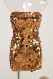 Sequin Bodycon Tube Mini Dress-Outfit