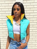 Fashion Autumn Stand Collar Cotton Vests Women Elegant Solid Simple Zipper Coats Women Casual High Waisted Vests