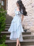 Chiffon Print Midi Dress for Women 2023 New Summer Elegent Party Blue Floral Vestidos Holiday Vintage Female