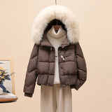 Korean Version Of The Ox Horn Button Down Jacket Women's Short Style 2024 Winter New Big Hair Collar And Thick Small Warm Coat Tide-Outfit
