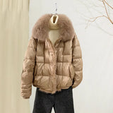 Chinese Style Fashion Retro Plate Buckle Mink Door Skirt Down Jacket Women's Short Style Warm Big Fur Collar Coat Tide-Outfit