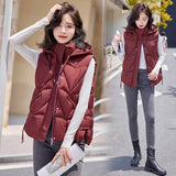 Autumn And Winter Fashion Foreign Style Reduce Age Mother Down Cotton Jacket Coat Female Winter Short Money Loose And Thick Women Cotton Horse Clip-Outfit