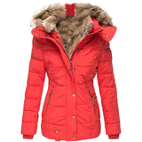 Winter Warm Wool Collar Cotton-Padded Suit Women's Zipper Long Sleeve Slim Hooded Cotton Coat MG118-Outfit