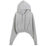 Suit Winter Spring Solid Casual Tracksuit Women Fleece 2 Pieces Set Sports Sweatshirts Pullover Sweatpants