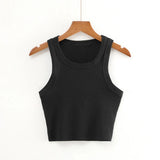 New Round Collar Solid Color Sports Short Blouse With A Slimmed Edge, A Small