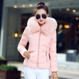 New Winter Dress Big Wool Collar Cotton-Padded Jacket Female Short Style Hooded Down Cotton-Padded Jacket Coat Fashion Slim Warm Cotton-Padded Jacket-Outfit