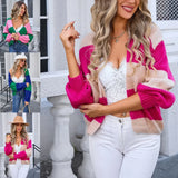 2025 New Colored Knitted Shirt Women's Autumn Winter Leopard Tard New V-Necked