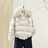 Chinese Style Fashion Retro Plate Buckle Mink Door Skirt Down Jacket Women's Short Style Warm Big Fur Collar Coat Tide-Outfit