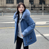 The 2024 New Winter Down Cotton And Thick Cotton-Padded Coat-Outfit