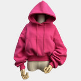 Suit Winter Spring Solid Casual Tracksuit Women Fleece 2 Pieces Set Sports Sweatshirts Pullover Sweatpants