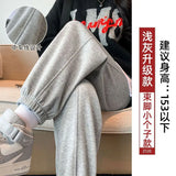 Zingj Grey Sports Pants Women's Fall Foot 2024 New Little Harlan Casual Pants Fall Thin-Outfit