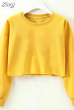 Women Casual Long Sleeve Solid Sweatshirt Jumper Summer Autumn Holiday Casual Sportwear Crop Top Loose Pullover