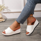 New Fashion Fish Mouth Slope And Fashion Casual Large-Size Women's Type Cold Slippers