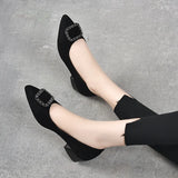 Zingj High Heels Women's 2024 Spring New Square Buckle Shallow Mouth Single Shoes Two Kinds Of High Love Shoes