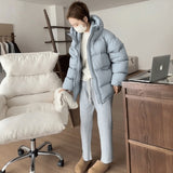 Hooded Thick Down Jacket Female 2024 Winter New Small Gentle Korean Version Of Casual White Duck Down Coat Tide-Outfit
