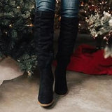 Zingj Women's Over-Knee Boots 2024 Autumn And Winter New Thick Heels, High Heels, Thin Suede Boots, Women's Side Zipper Long