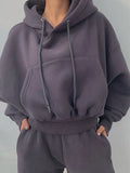 Suit Winter Spring Solid Casual Tracksuit Women Fleece 2 Pieces Set Sports Sweatshirts Pullover Sweatpants